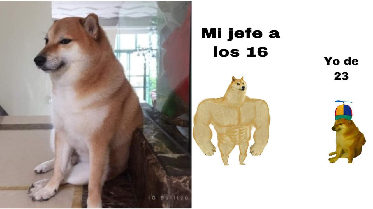 cheeems 1280x720 marca de agua