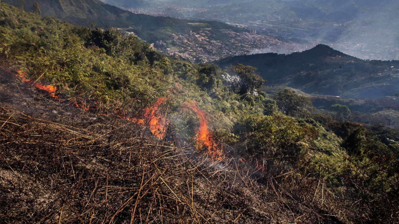 incendios forestales