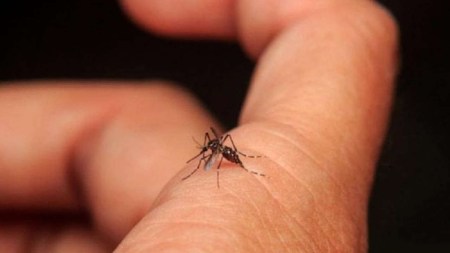 Aumento alarmante de casos de dengue en Colombia: Antioquia es una de las zonas más afectadas dengue-aumenta-con-fenomeno-del-niño