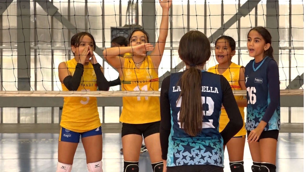 voleibol