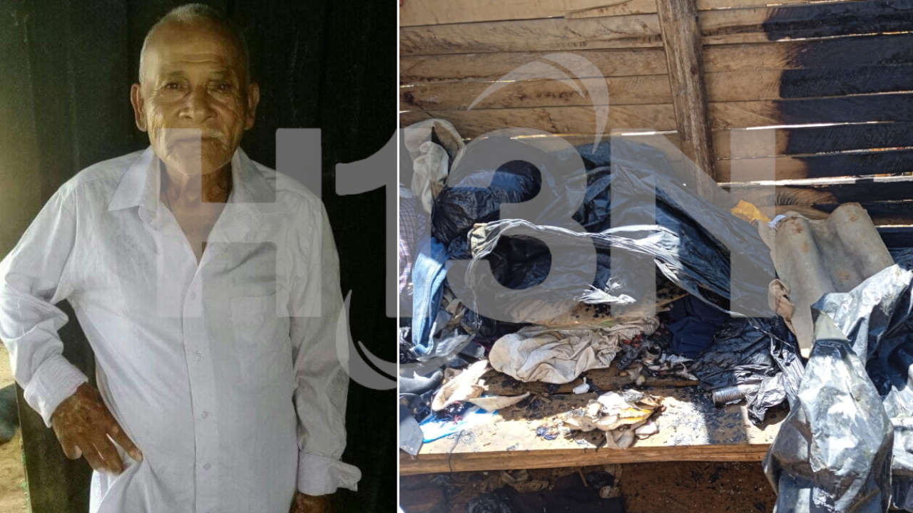 ¡Es un milagro! Gatico salvó a adulto mayor de un incendio en Tarazá, Antioquia gatico-salvo-adulto-mayor-incendio