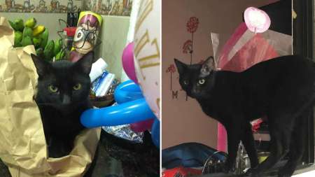 berlin-extraviado-medellin