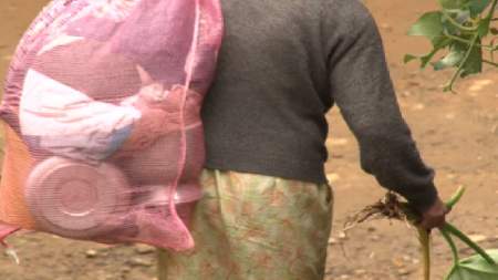 Combates entre Clan del Golfo y Disidencias obligó a familias de dos veredas de Anorí a desplazarse 250 desplazados se refugiaron en Segovia y El Bagre