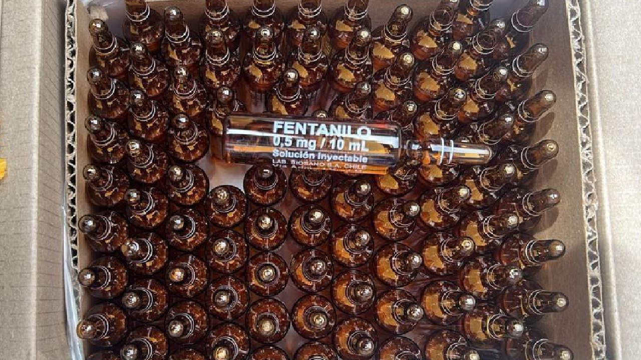 Proponen identificación de fentanilo en zonas de rumba