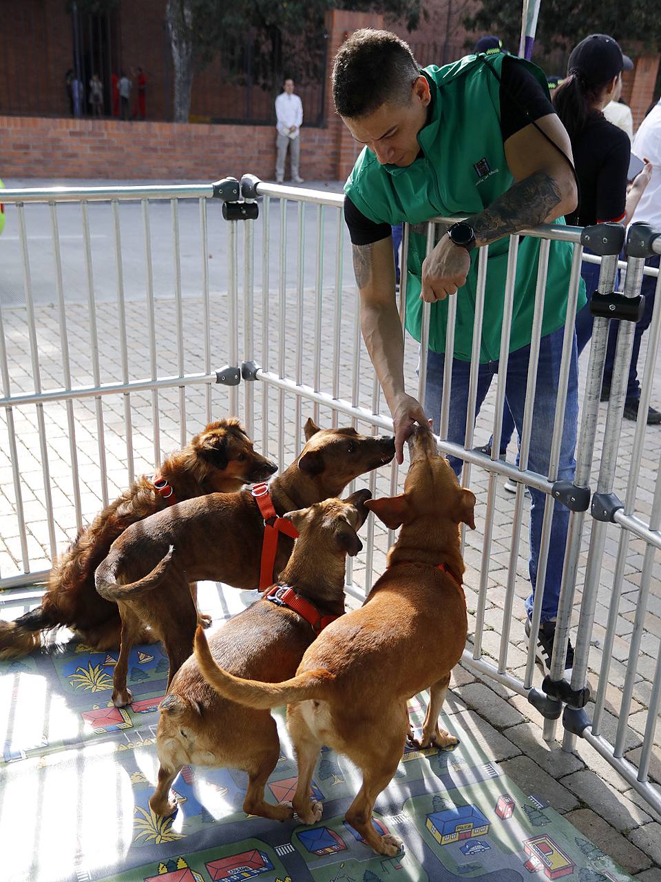 vehiculo-proteccion-animal-medellin