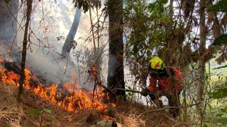 El Dagrd atendió 139 emergencias durante la última semana, en Medellín