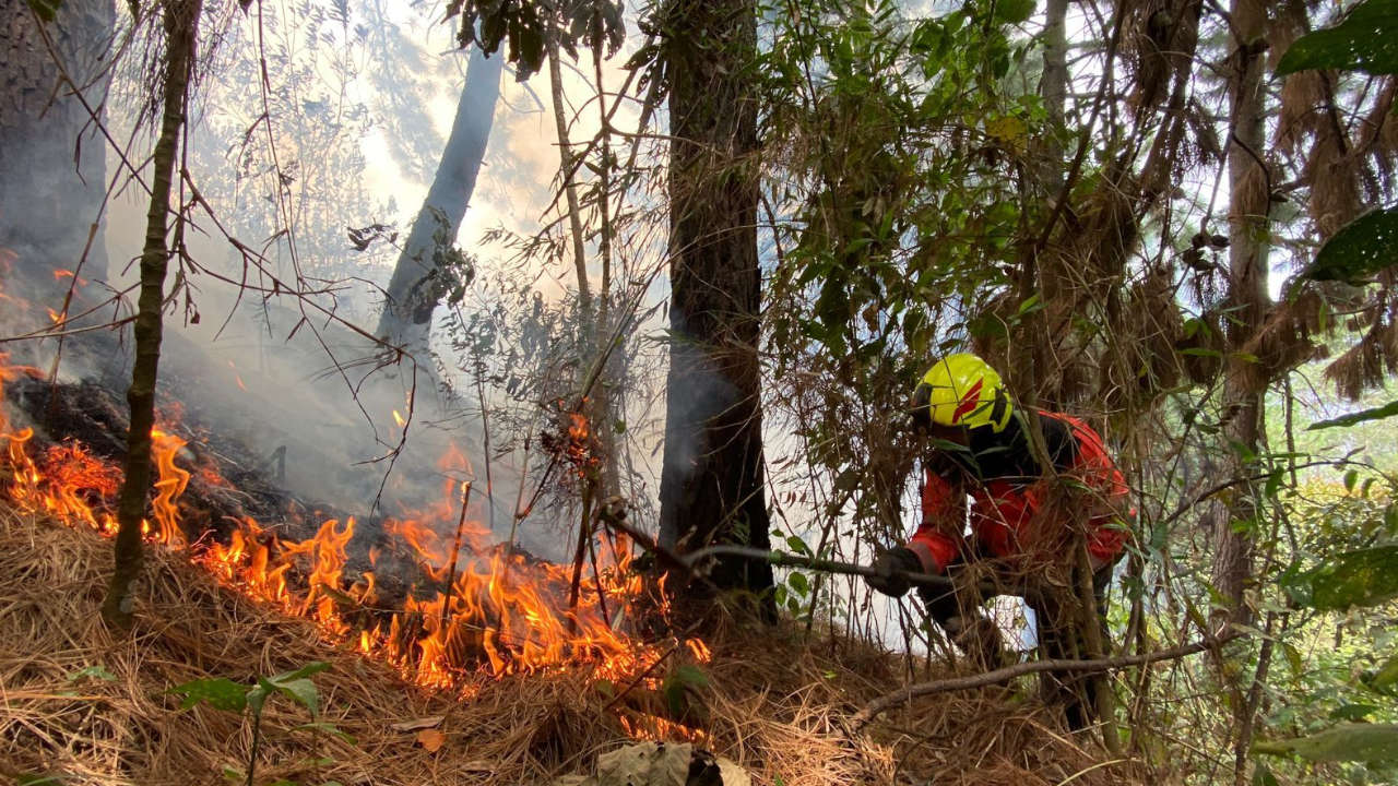 El Dagrd atendió 139 emergencias durante la última semana, en Medellín