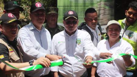 Siembran 22 mil árboles en bosque desminado en San Luis