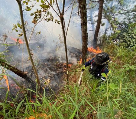 El Dagrd, con Bomberos Medellín, atendieron 150 emergencias en la segunda semana de octubre,en Medellín Dagrd atendió 111 emergencias entre el 11 y 17 de noviembre