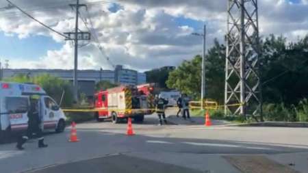 ataque-abejas-La-Estrella