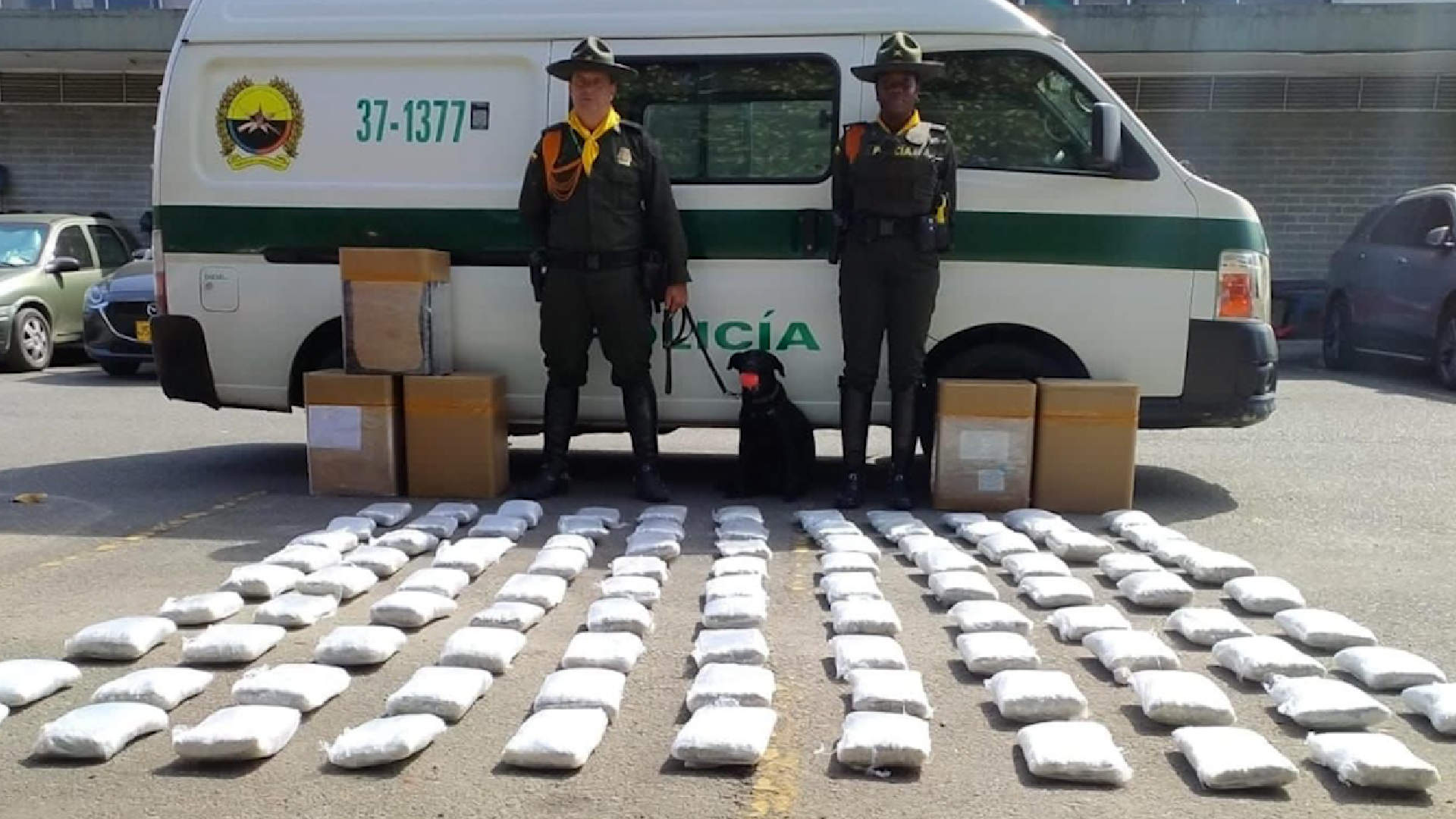 Agentes caninos hallaron droga oculta en encomiendas