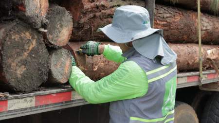 48 vehículos de carga con madera ilegal, han sido incautados en el Valle de Aburrá