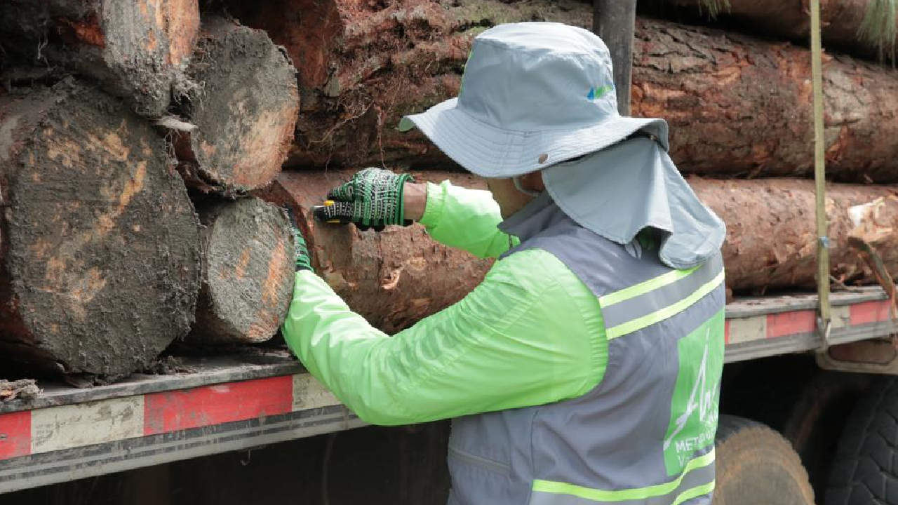48 vehículos de carga con madera ilegal, han sido incautados en el Valle de Aburrá