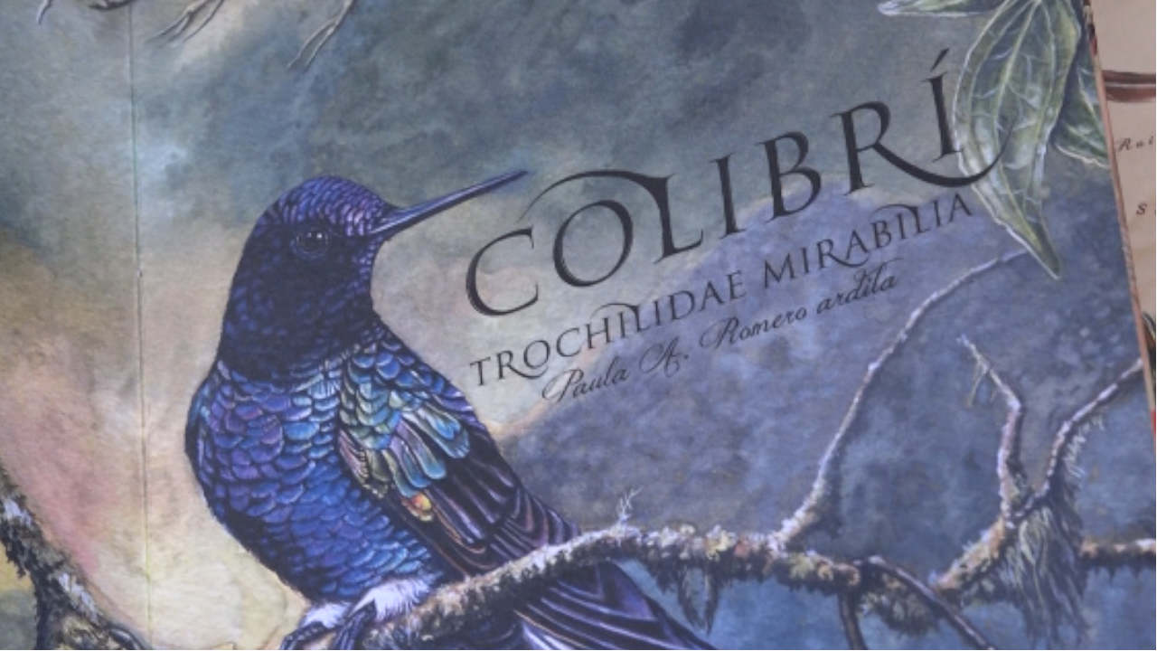 Exposiciones, emprendimientos y más en la Feria del libro Exposiciones