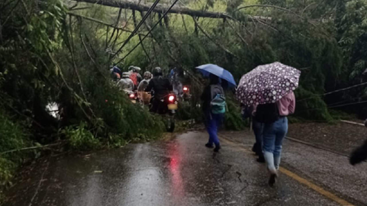 Estuvo cerrada durante la mañana de este lunes la vía de San Pedro De Los Milagros
