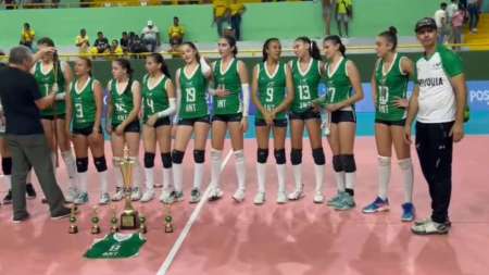 voleibol