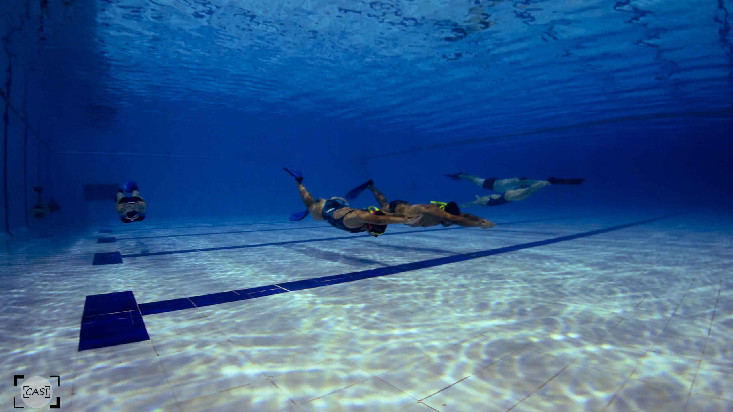 Festival Makos Apnea