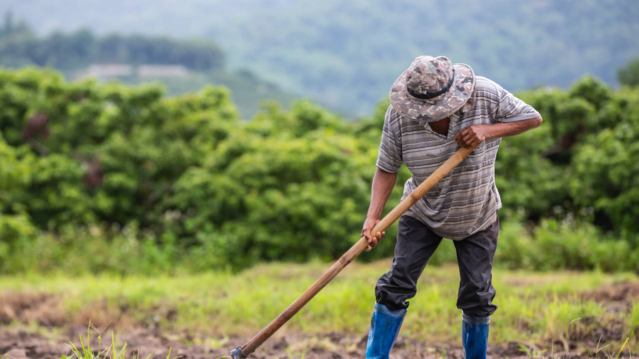 amenazan-reclamantes-tierra-uraba