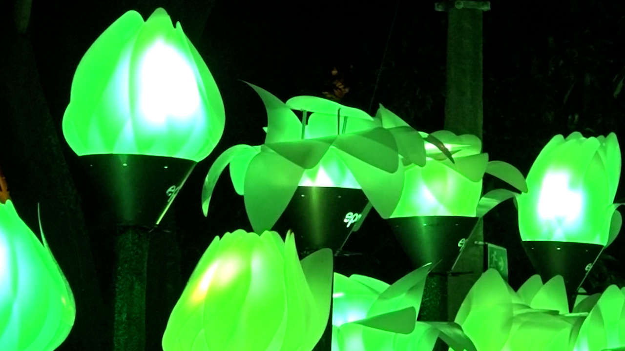 alumbrados-navideños-medellin