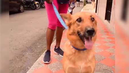 Caminata Canina en Sabaneta