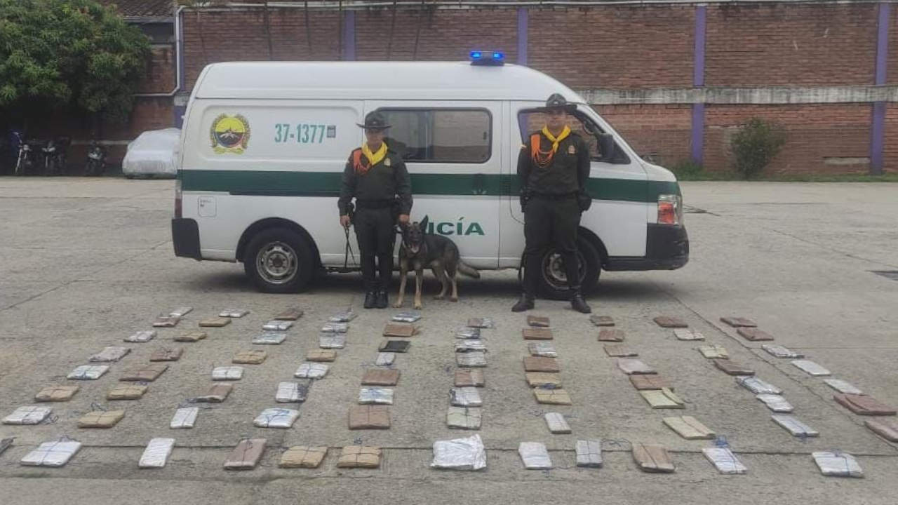 Gracias al olfato de un perro encontraron la marihuana escondida.