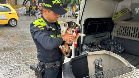policia-medellin-perrito-maltratado