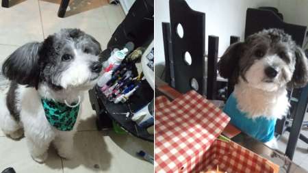 toby-perdio-villatina
