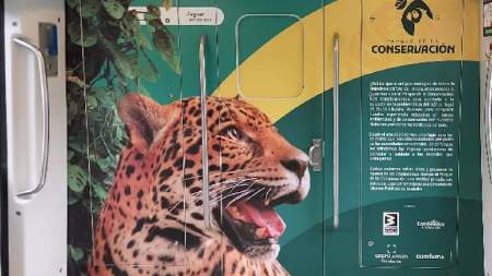 La fauna silvestre está a bordo de un tren del Metro de Medellín