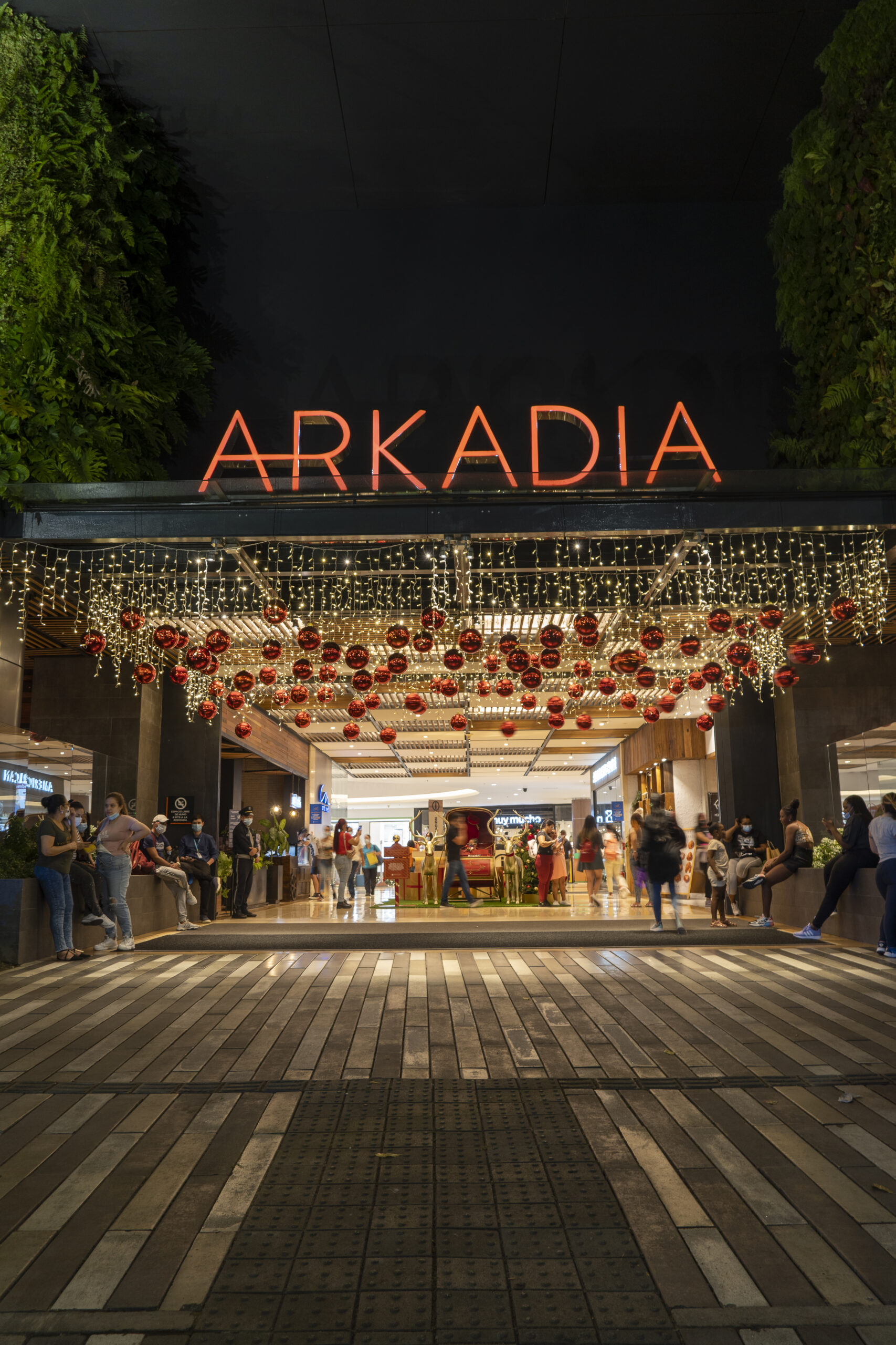 arkadia-papa-noel