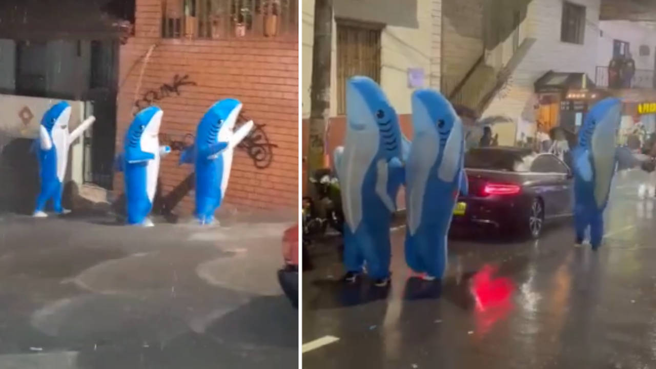 Fuerte aguacero en la noche de Halloween en Medellín: así lo aprovecharon varios tiburones tiburones-medelllin