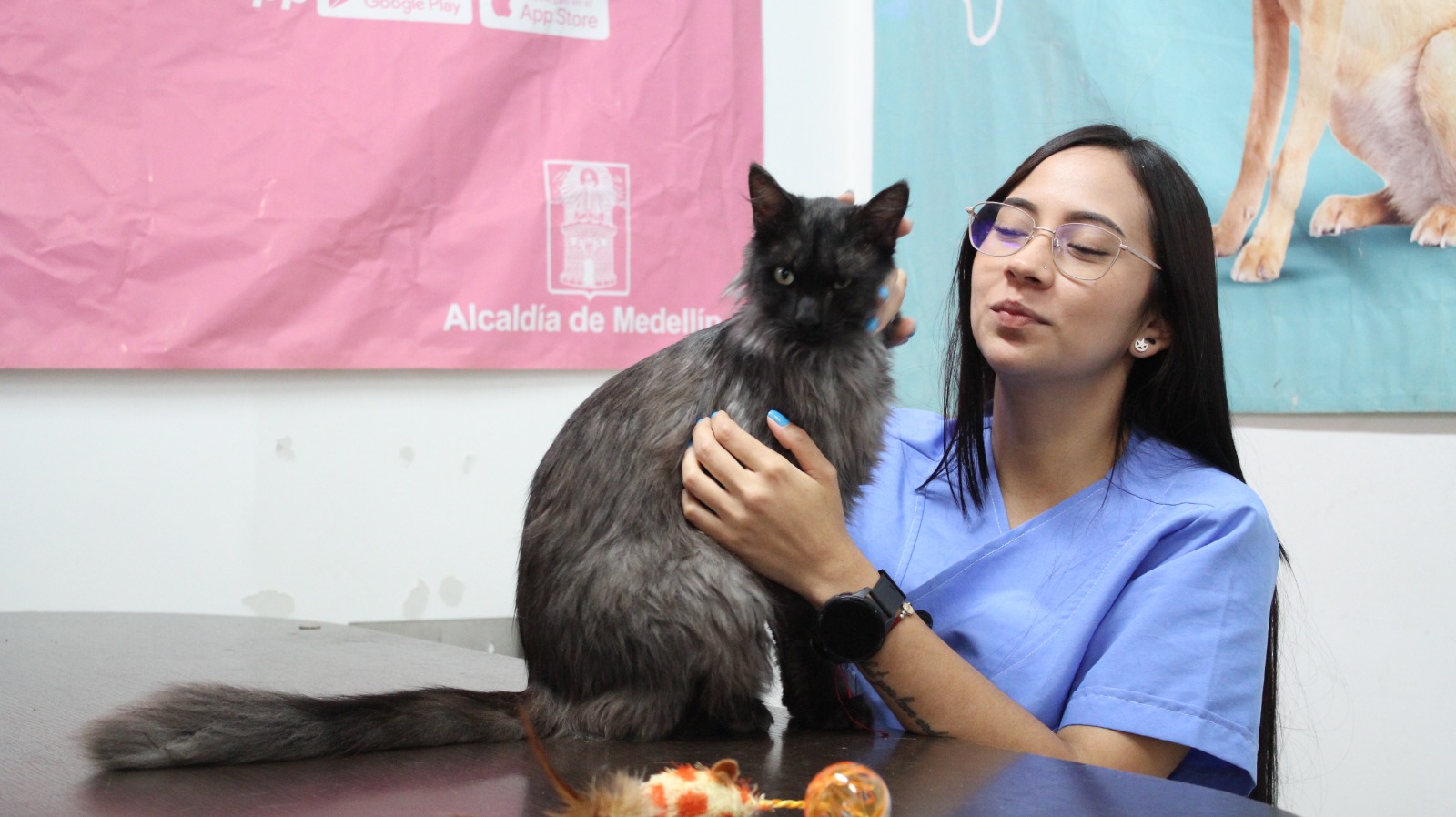 gatico-sida-adoptado-medellin