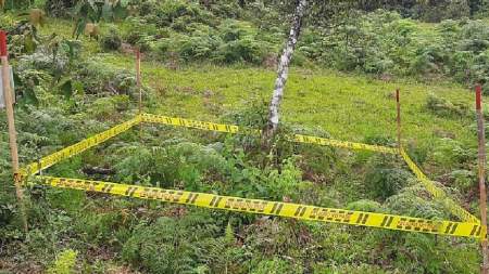 Desminado en Colombia: avances en la erradicación de minas antipersonal
