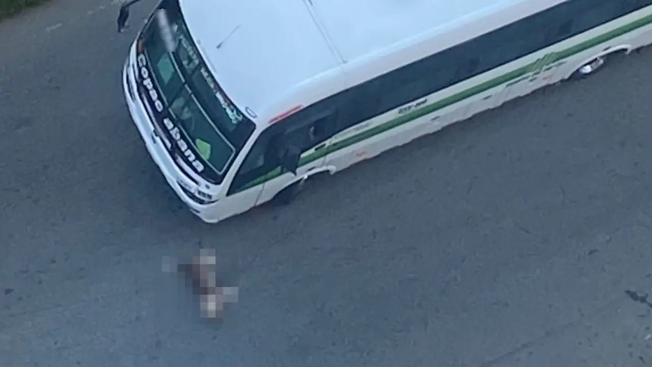 Aseguran que bus atropelló a un perrito en Bello, el animalito murió bus-atropella-perrito-bello