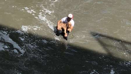 rescato-perrito-rio-medellin