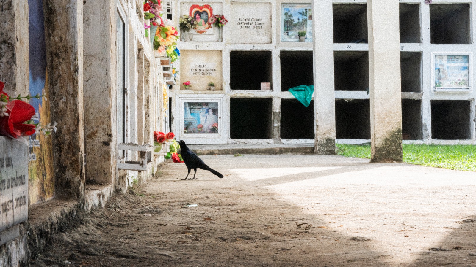 identifican-restos-nn-apartado