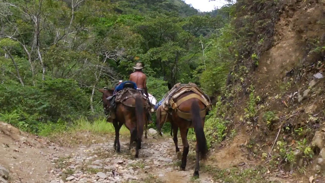 EPM transforma caminos veredales para impulsar desarrollo y vida rural