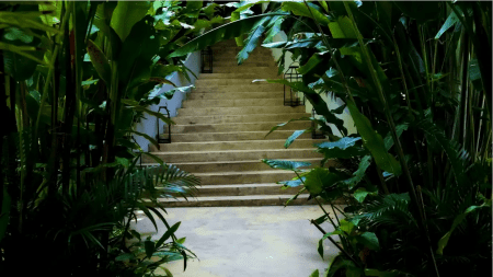 Casa Candela: descubre este lugar, un oasis culinario en las montañas de Antioquia oasis
