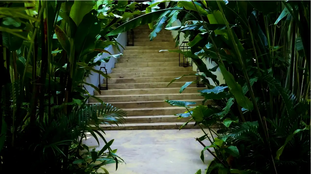 Casa Candela: descubre este lugar, un oasis culinario en las montañas de Antioquia oasis
