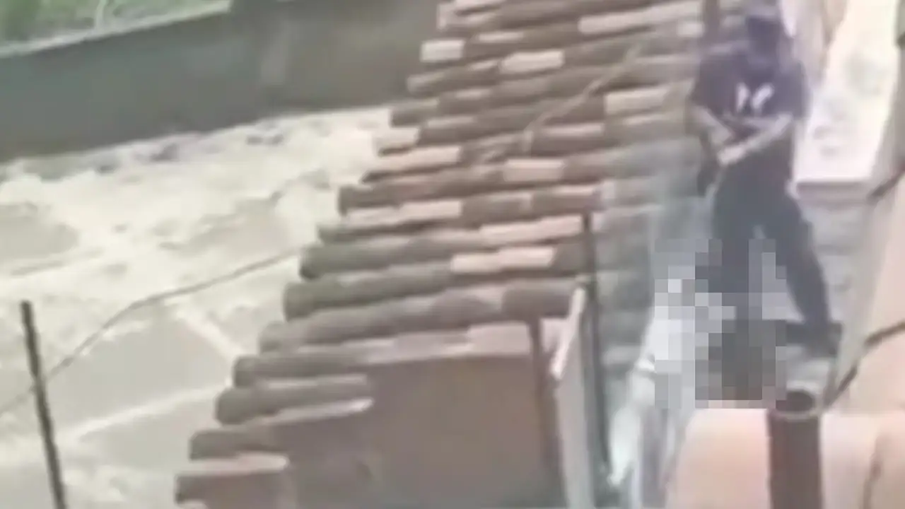perrito-belen-policia