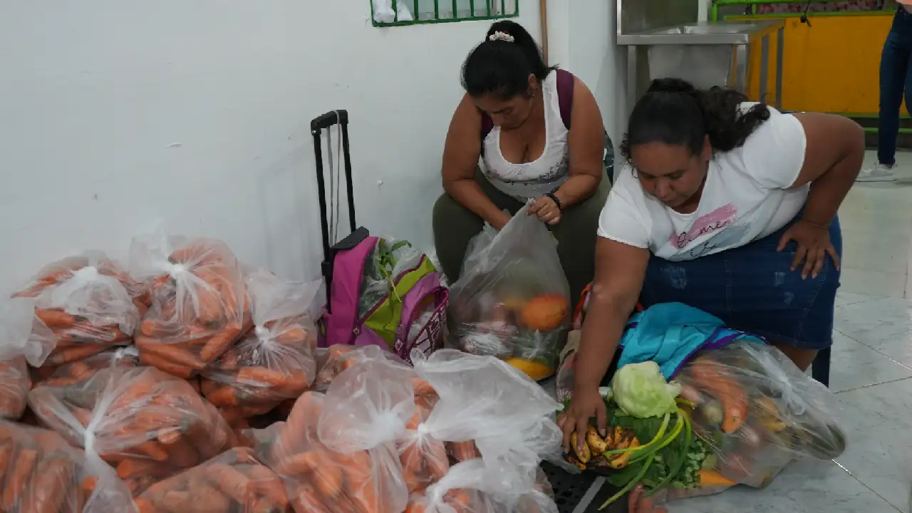Proyecto innovador, busca distribuir alimentos a familias vulnerables