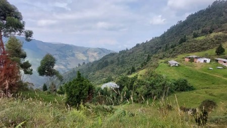 firmantes-de-paz-marinilla