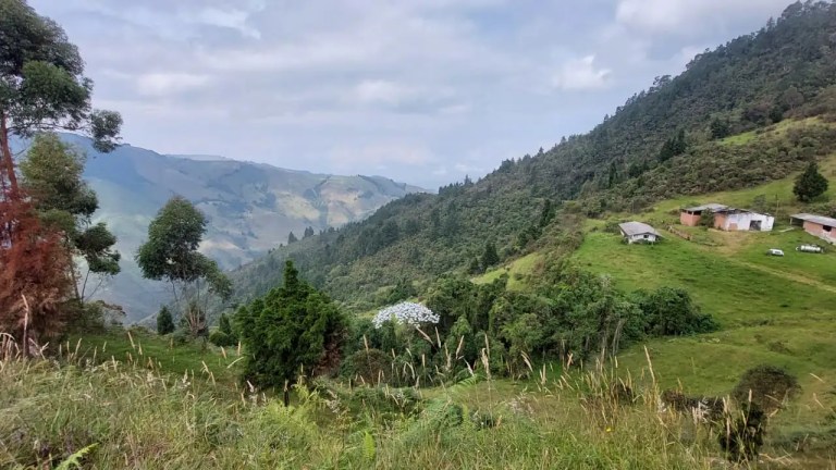 firmantes-de-paz-marinilla