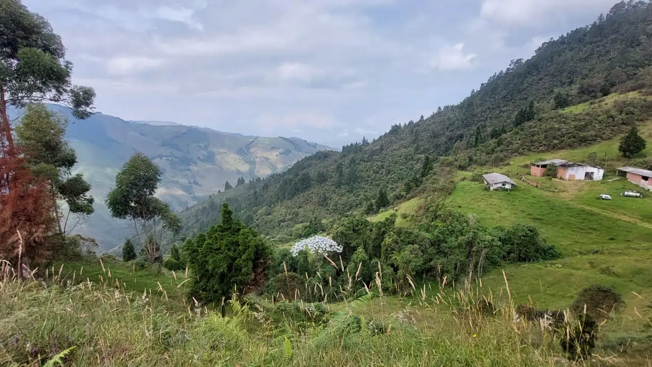 firmantes-de-paz-marinilla