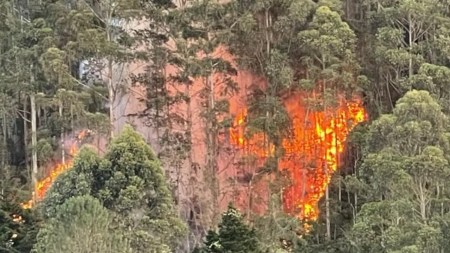 Incendio Forestal El Retiro
