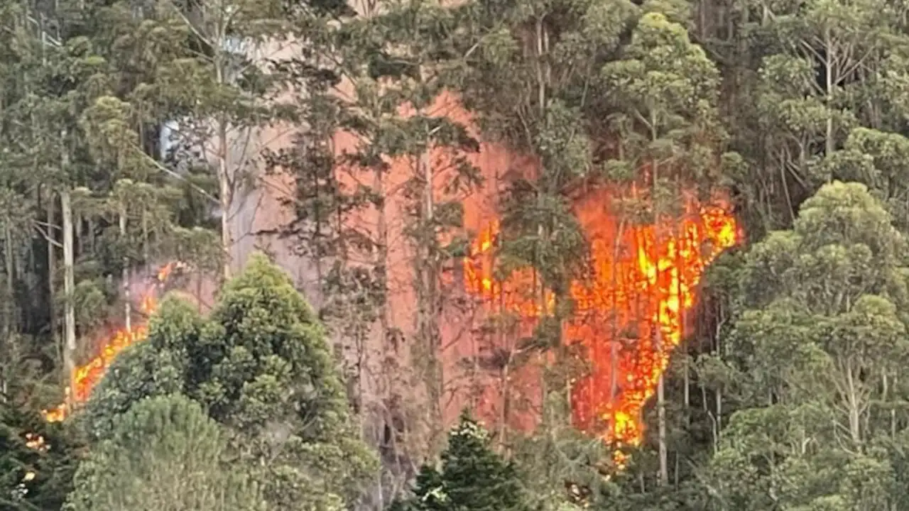 Incendio Forestal El Retiro