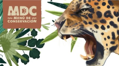 Menu jaguar