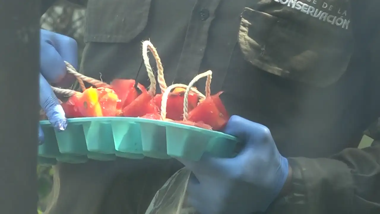 Animales -helados-Parque de la Conservación