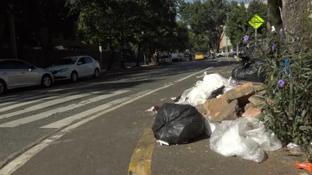 Secretaría de medio ambiente en alerta por el estado medio ambiental de la ciudad