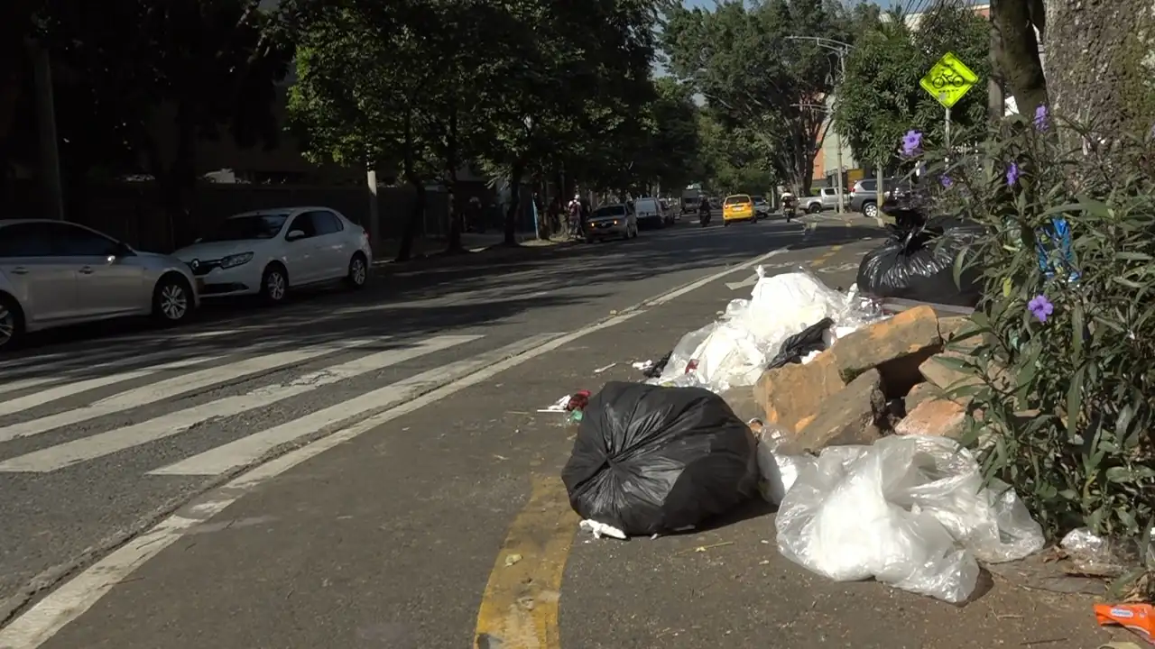 Secretaría de medio ambiente en alerta por el estado medio ambiental de la ciudad