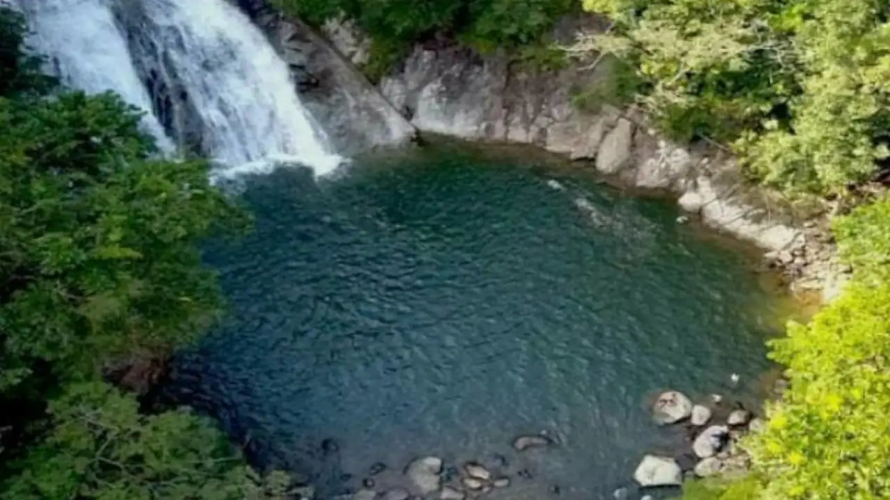 la-planta-tres-charcos